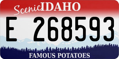 ID license plate E268593