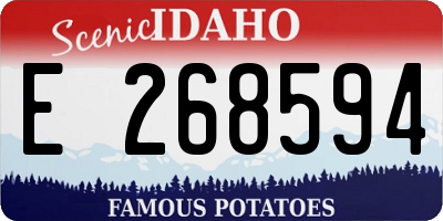 ID license plate E268594