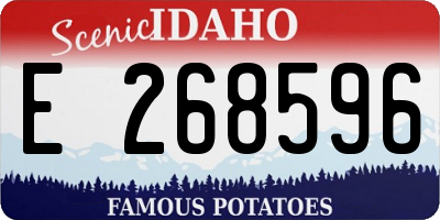 ID license plate E268596