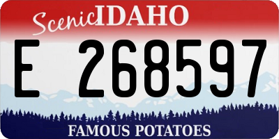 ID license plate E268597