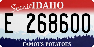 ID license plate E268600