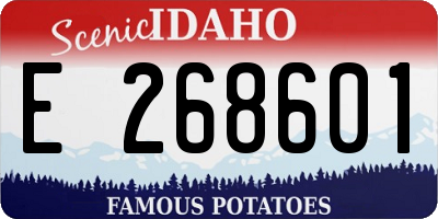 ID license plate E268601