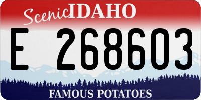 ID license plate E268603