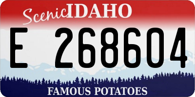 ID license plate E268604