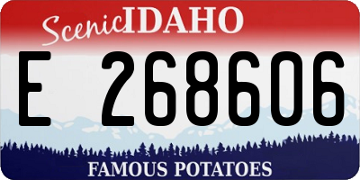 ID license plate E268606