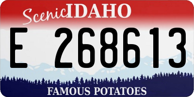 ID license plate E268613