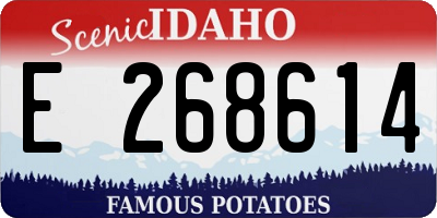 ID license plate E268614
