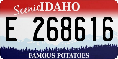 ID license plate E268616
