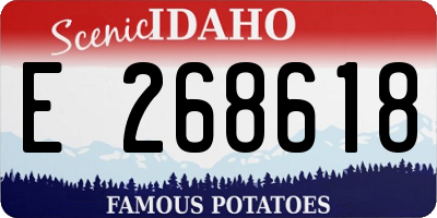 ID license plate E268618