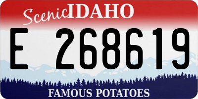ID license plate E268619
