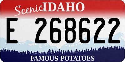 ID license plate E268622