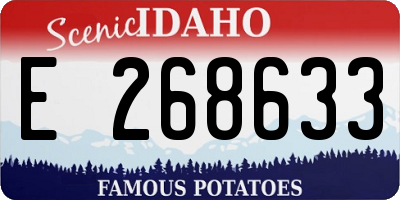 ID license plate E268633