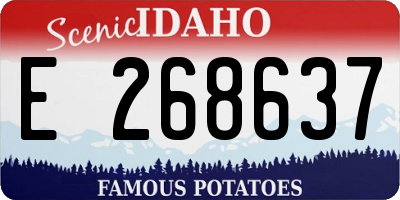 ID license plate E268637