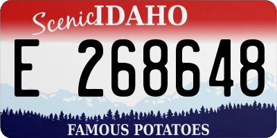 ID license plate E268648