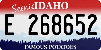 ID license plate E268652