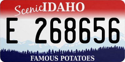 ID license plate E268656