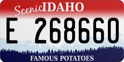 ID license plate E268660