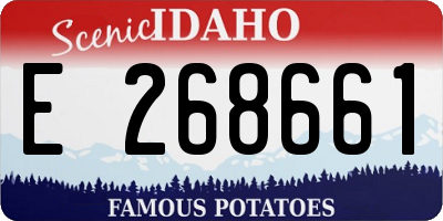 ID license plate E268661