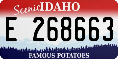 ID license plate E268663