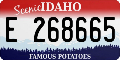 ID license plate E268665