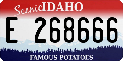 ID license plate E268666