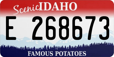ID license plate E268673