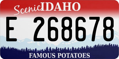 ID license plate E268678