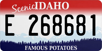 ID license plate E268681