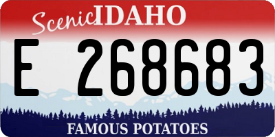 ID license plate E268683