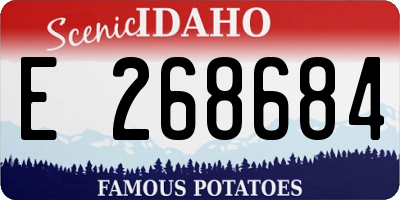 ID license plate E268684