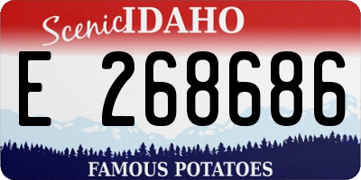 ID license plate E268686