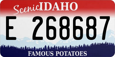 ID license plate E268687