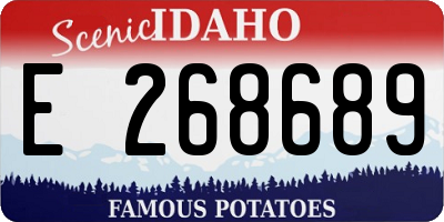 ID license plate E268689