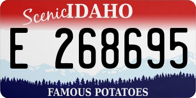 ID license plate E268695