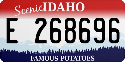 ID license plate E268696