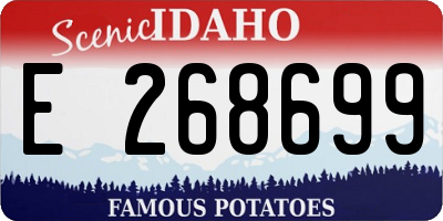 ID license plate E268699