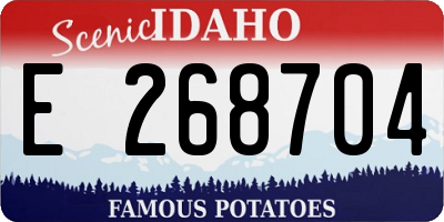 ID license plate E268704