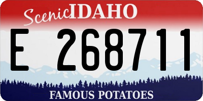 ID license plate E268711