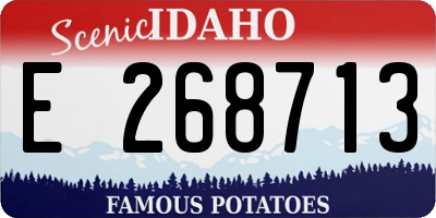 ID license plate E268713