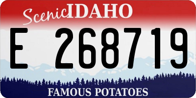 ID license plate E268719