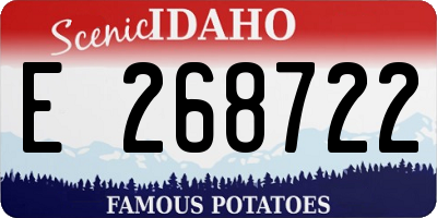 ID license plate E268722