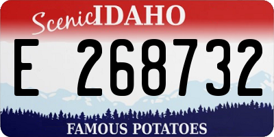 ID license plate E268732