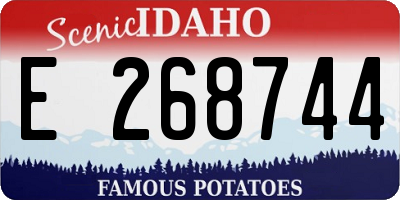 ID license plate E268744