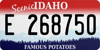 ID license plate E268750