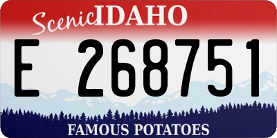 ID license plate E268751