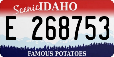 ID license plate E268753