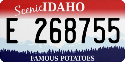 ID license plate E268755