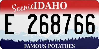 ID license plate E268766