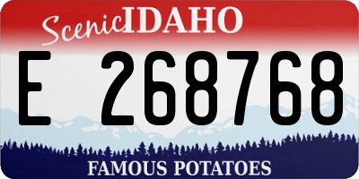 ID license plate E268768