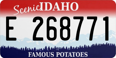 ID license plate E268771